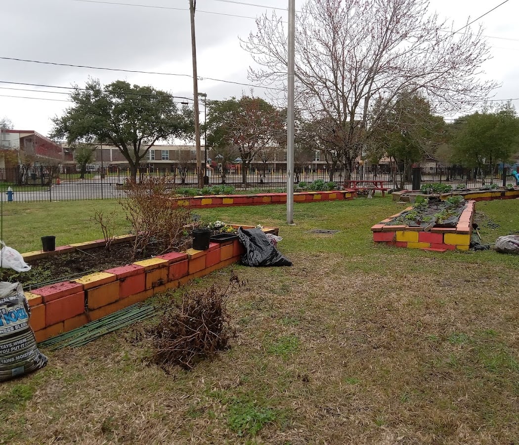 Neighborhood Resilience Network: Yard Waste 1